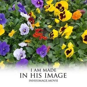 Meet your Posher, Jeannie